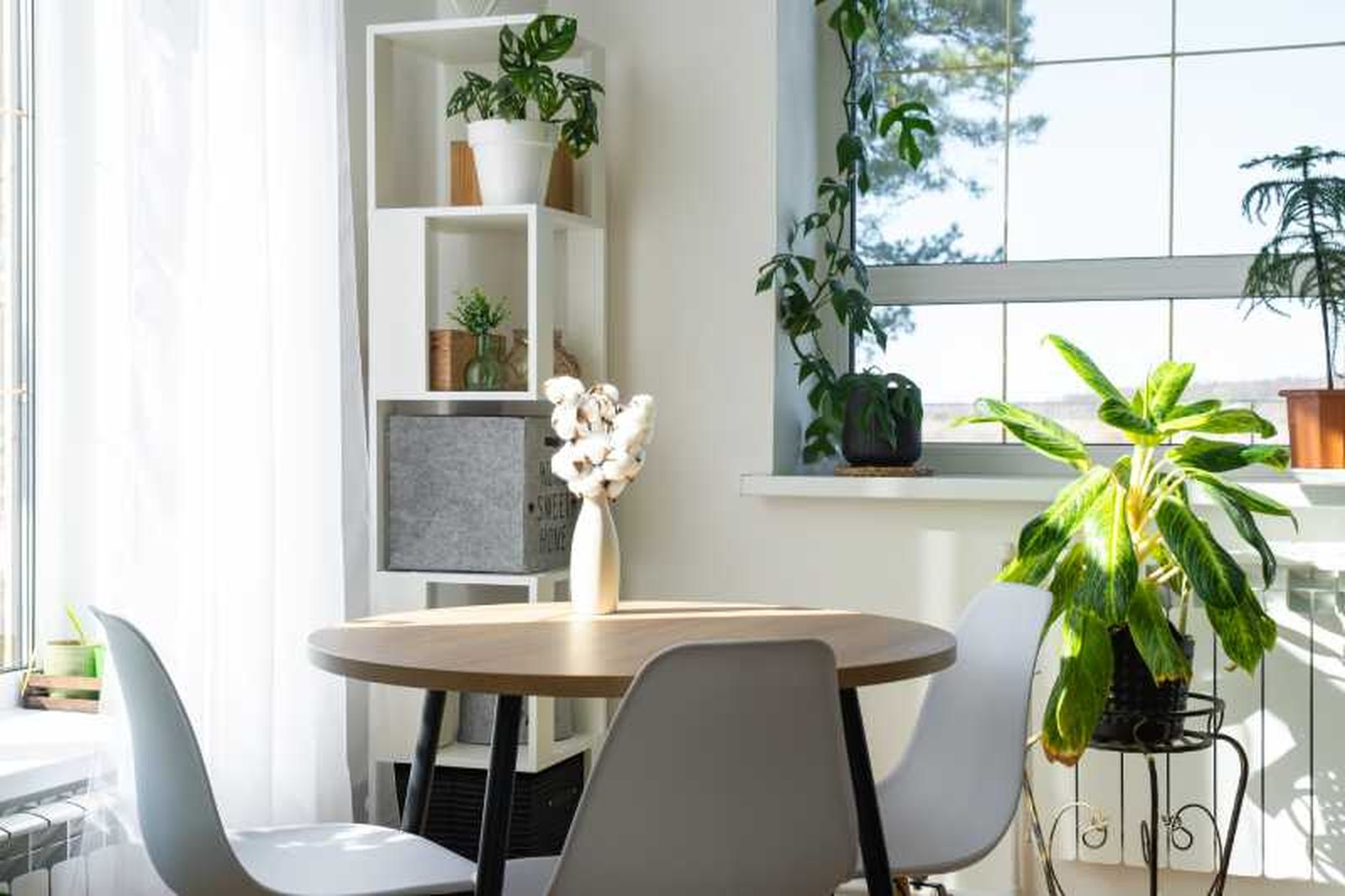 Comedor pequeño decorado con plantas. Comedor pequeño decorado con plantas.