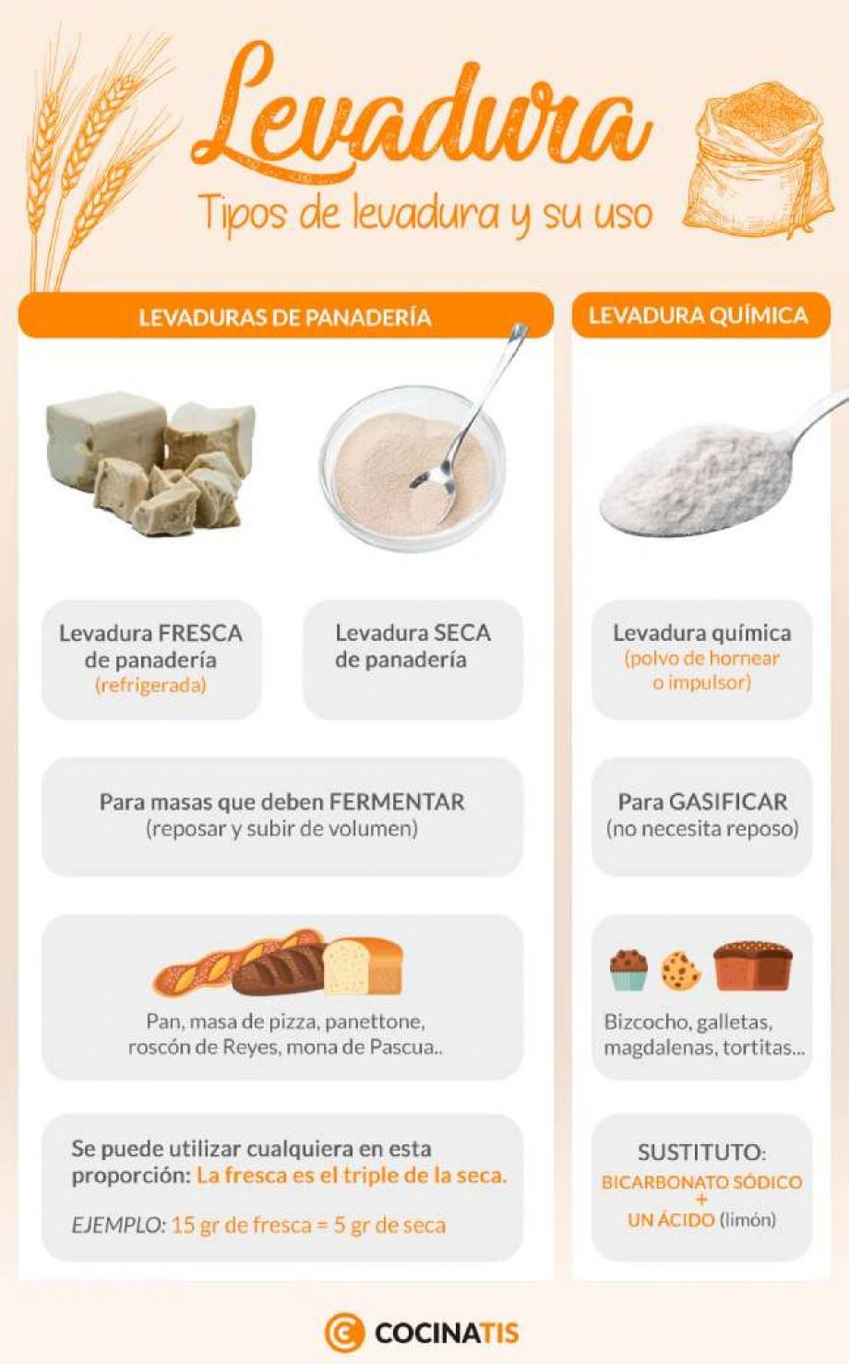 Tipos y usos de las levaduras