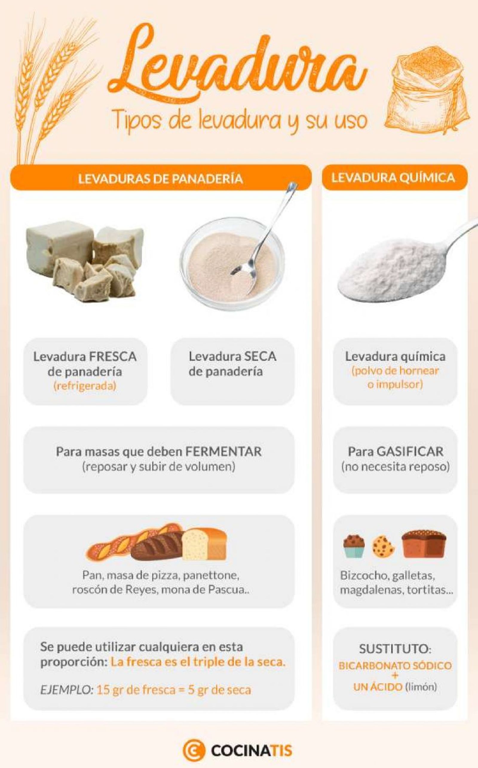 Tipos y usos de las levaduras Tipos y usos de las levaduras