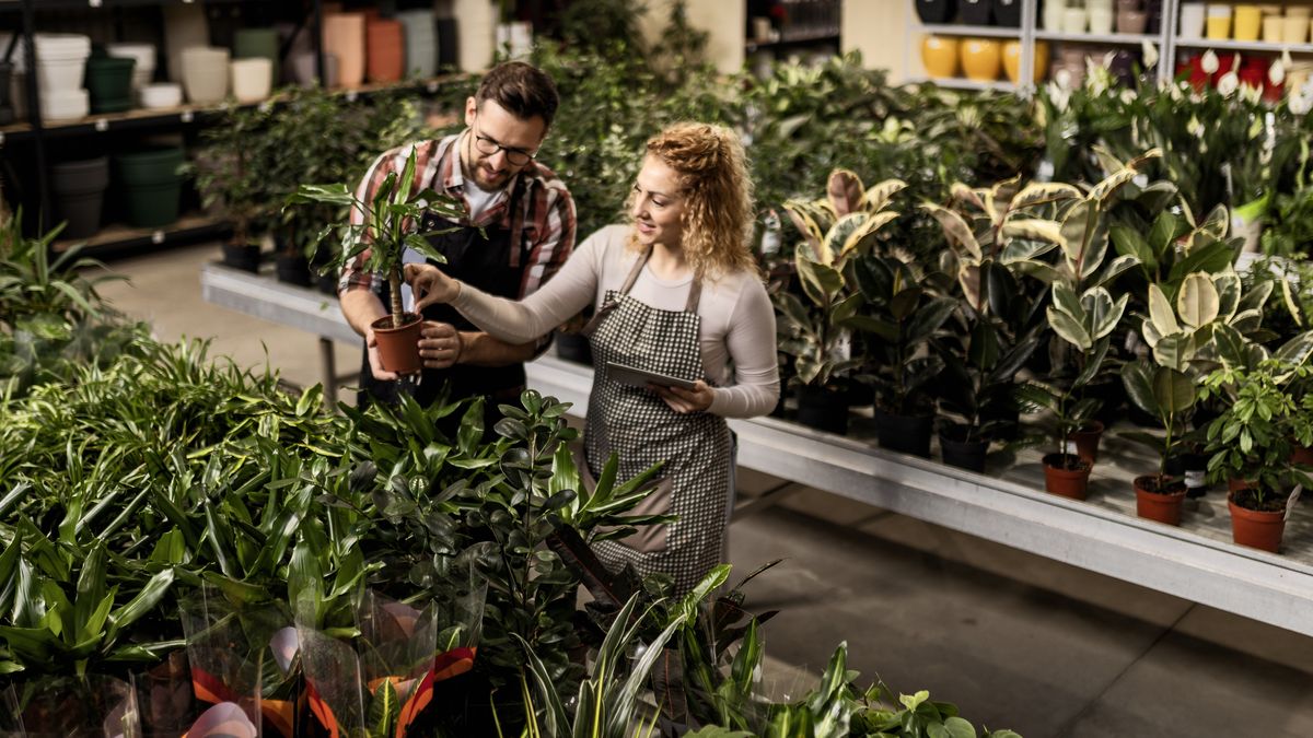 Selecciona plantas y flores que tengan un buen aspecto