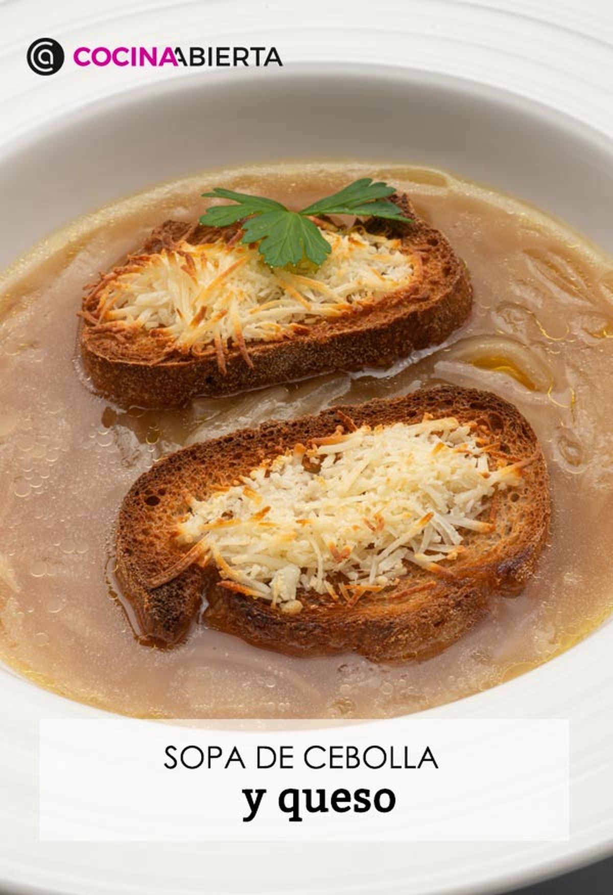 karl6634 sopa cebolla v