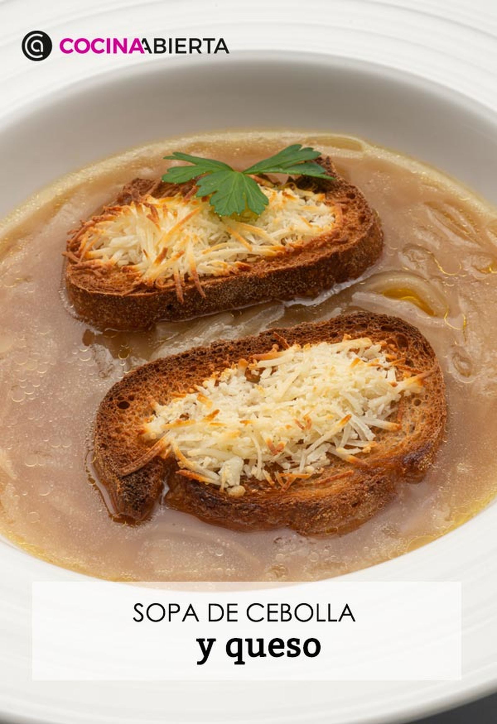 karl6634 sopa cebolla v