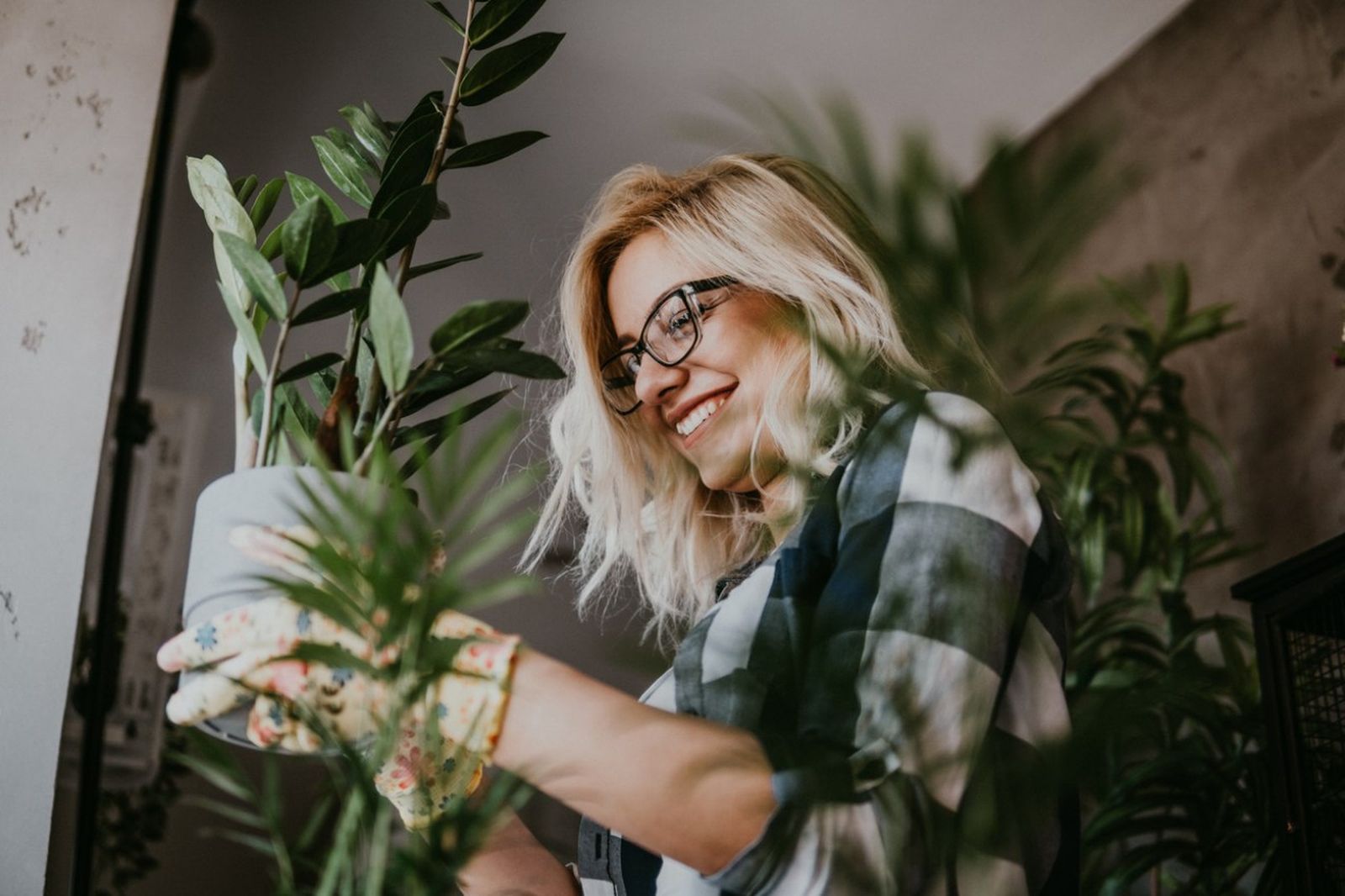 Las plantas pueden aportar mucha felicidad al hogar
