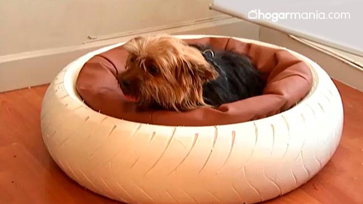 DEKO_MASCOTAS_439_Cama estilo motera mascotas