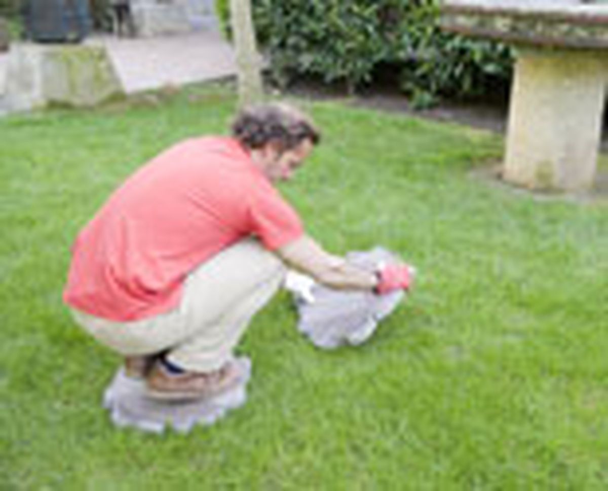 558 paso japones p02