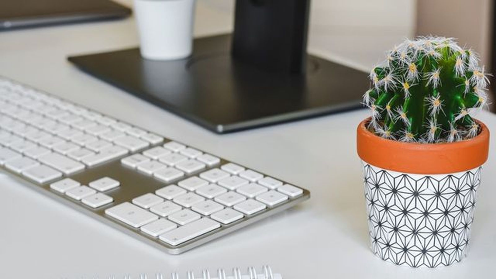 mito cactus cerca del ordenador mito cactus cerca del ordenador