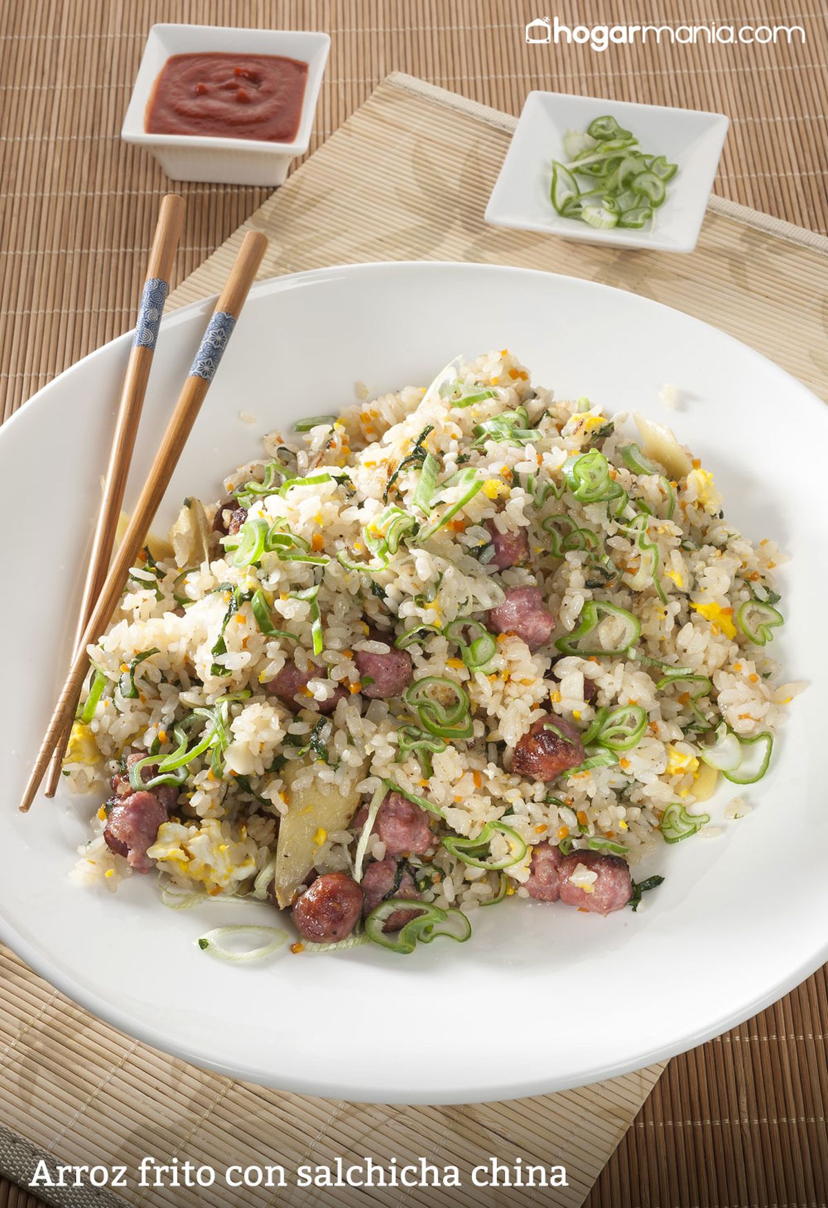 CABI0055 Kevin Arroz frito con salchicha china vertical xl