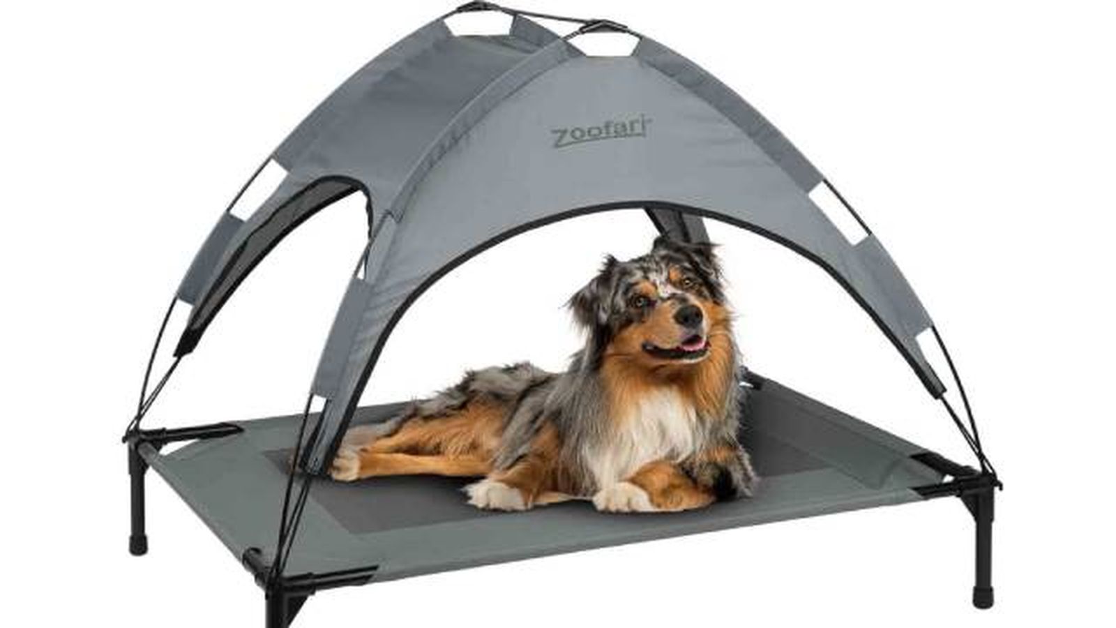 cama de perro para exteriores elevada con parasol zoofari lidl mascotas cama de perro para exteriores elevada con parasol zoofari lidl mascotas