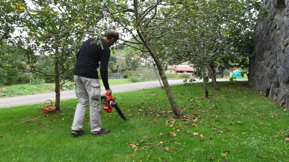 Sopladores y aspiradores de hojas paso 8