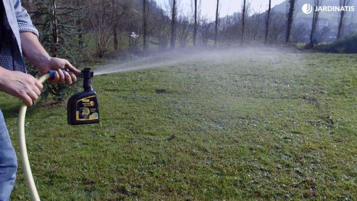 Riega uniformemente el césped.