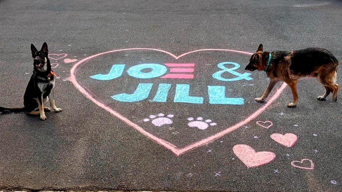 perros presidente biden 1