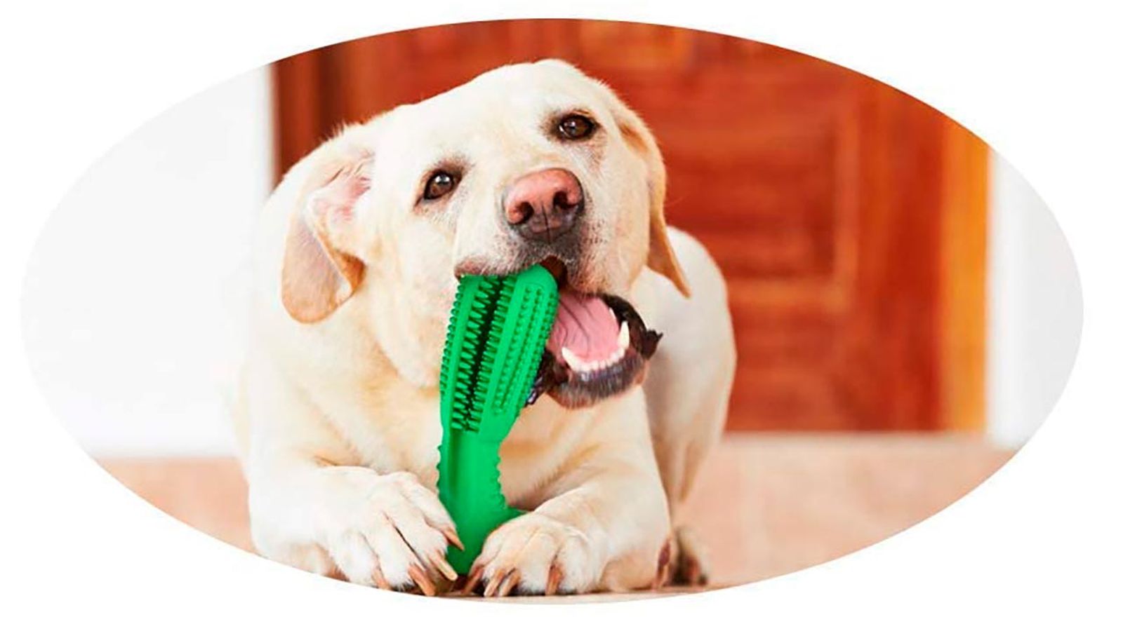articulos mascotas felices 4 juguete higiene dental articulos mascotas felices 4 juguete higiene dental