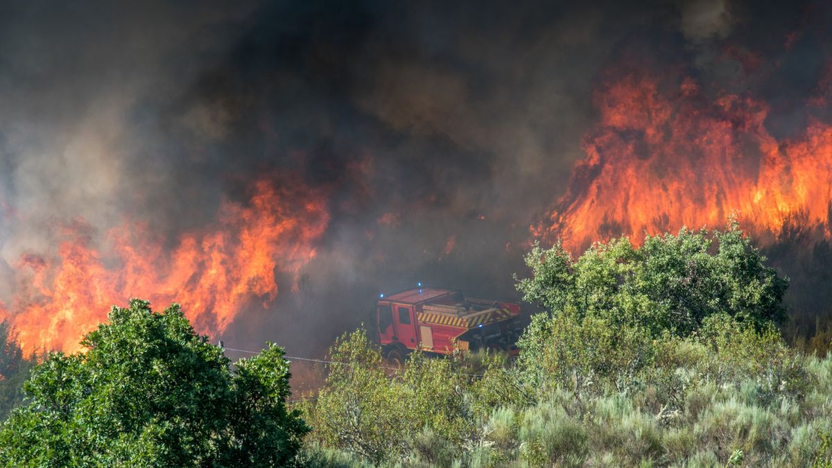 El viento puede transformar completamente el comportamiento de un incendio