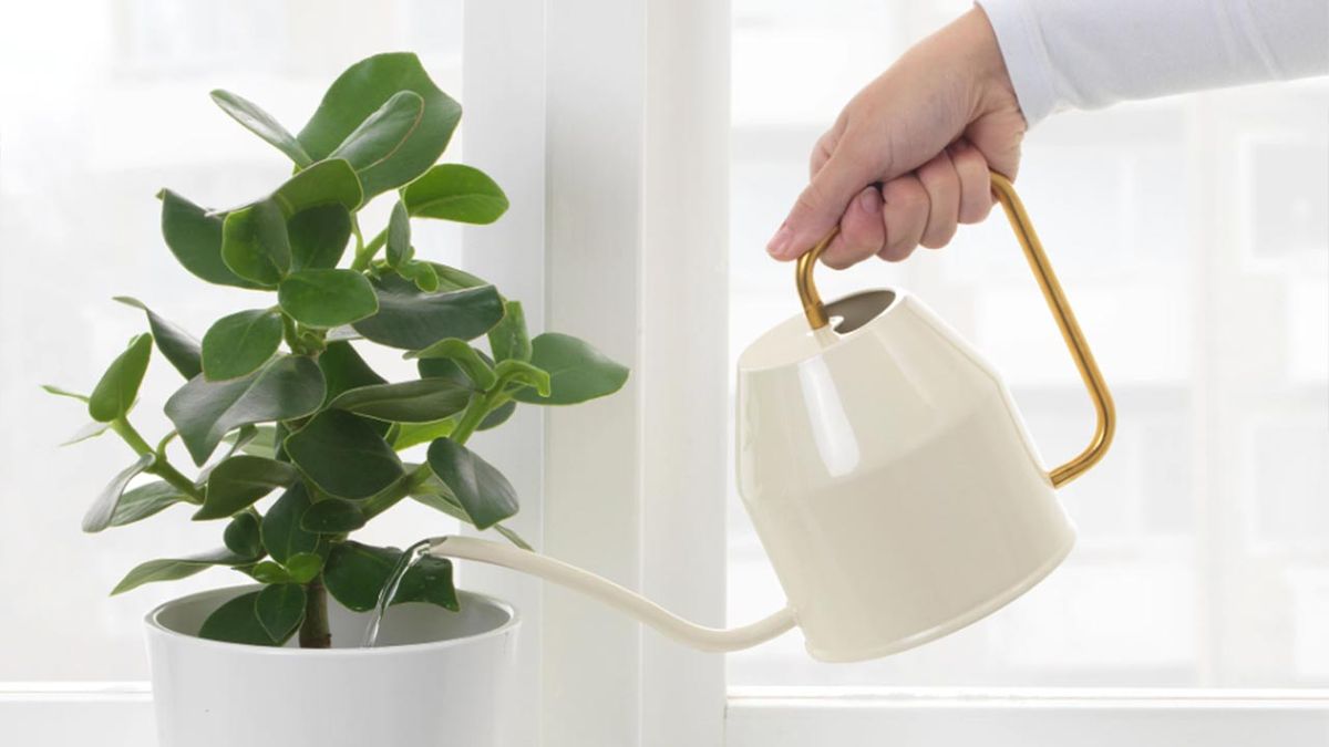 regadera ikea blanca dorada