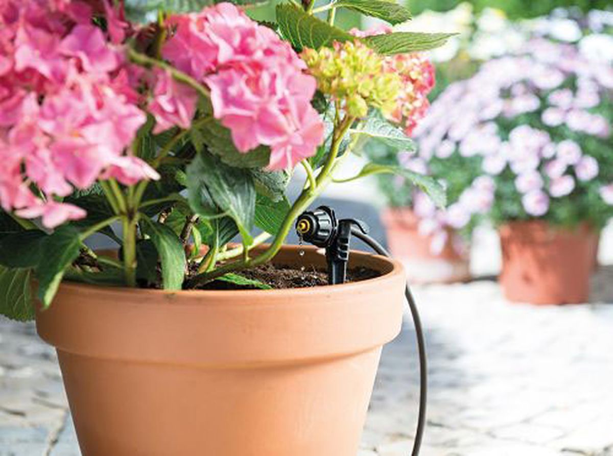 riego por goteo hozelock