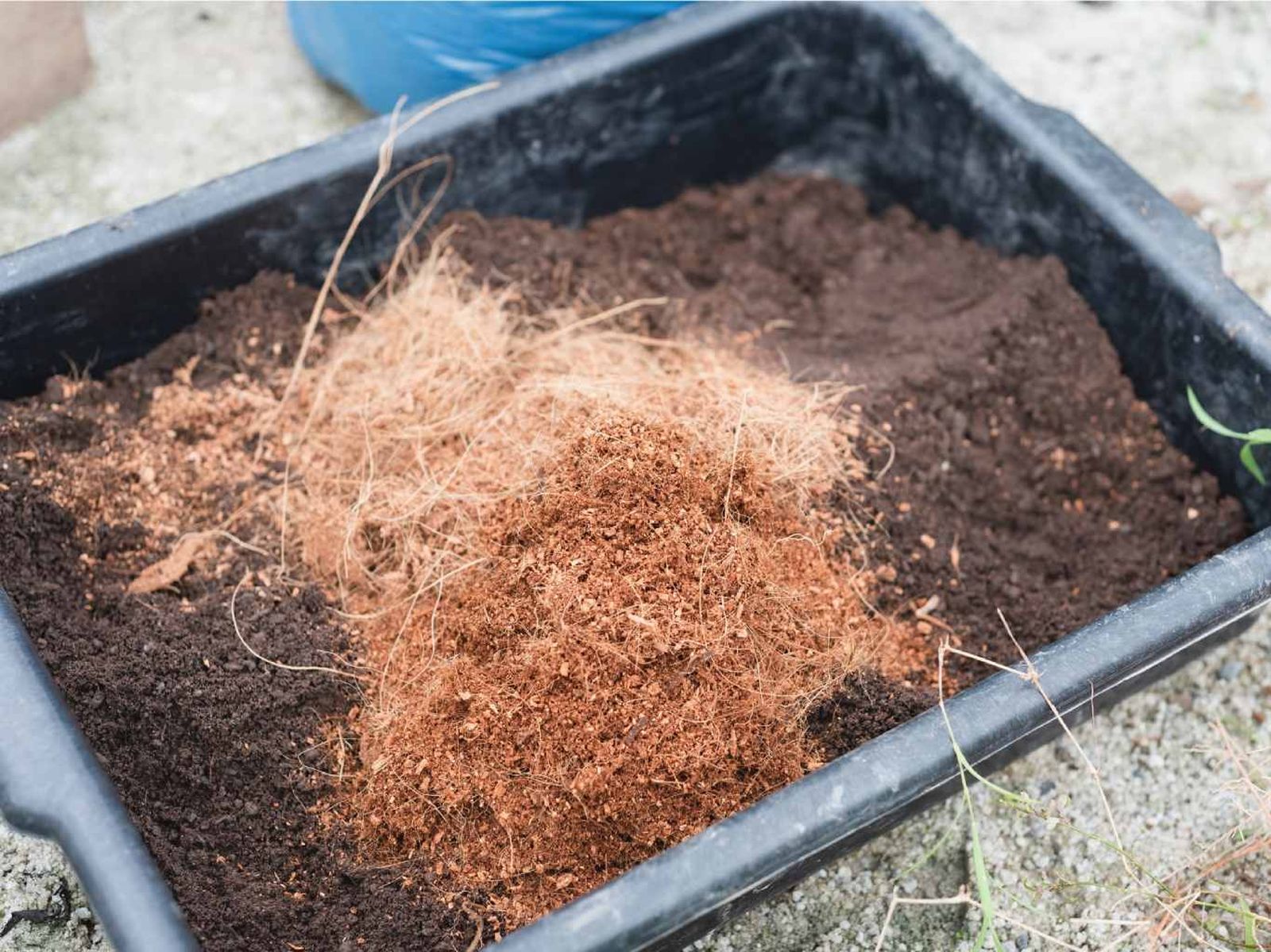 Mezcla la fibra de coco con compost o humus de lombriz. Mezcla la fibra de coco con compost o humus de lombriz.