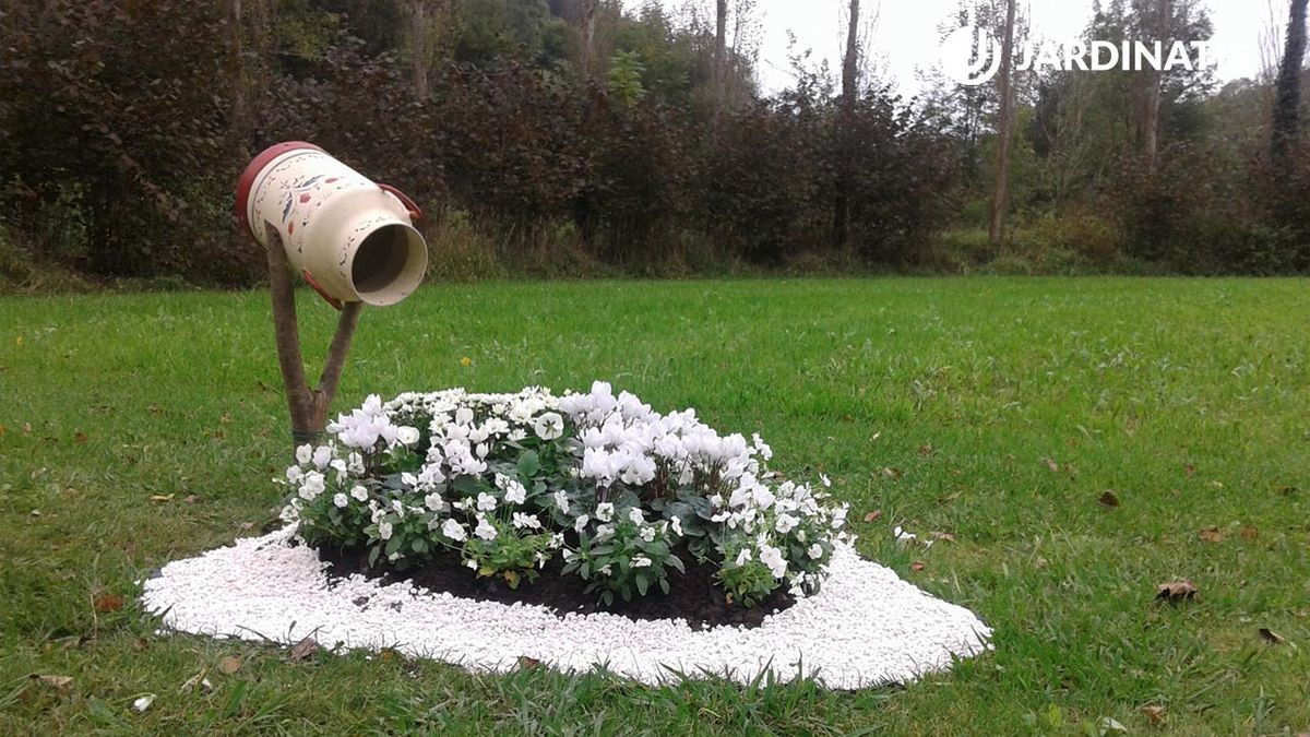 Decoración de jardín con plantas de flores blancas y marmita