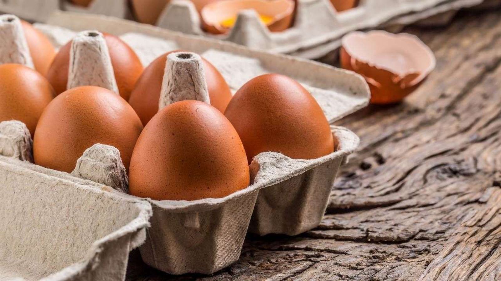 huevos