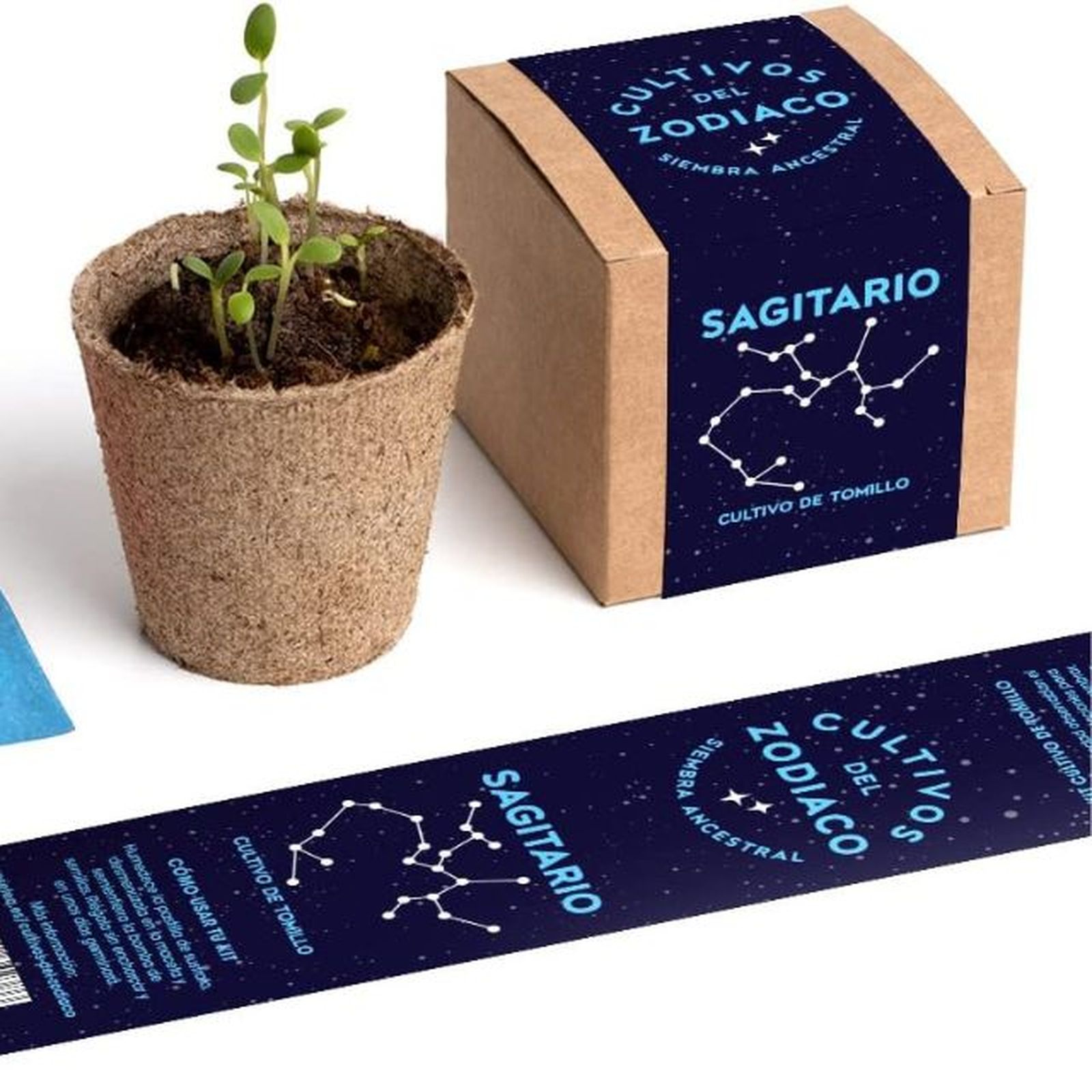 kit autocultivo sagitario resetea kit autocultivo sagitario resetea
