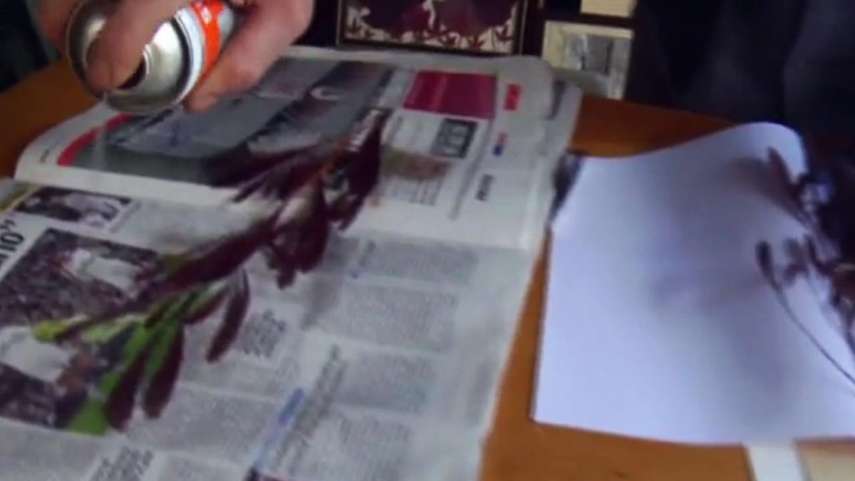 brico jardin 825 collage vegetal con hojas secas 4