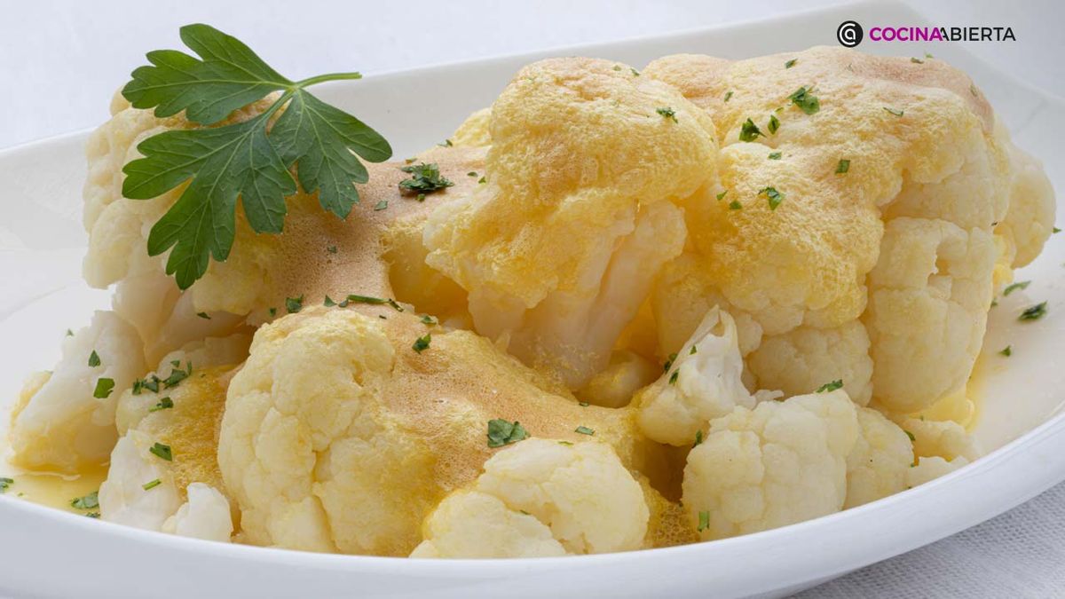 KARL7023 coliflor sabayon xl