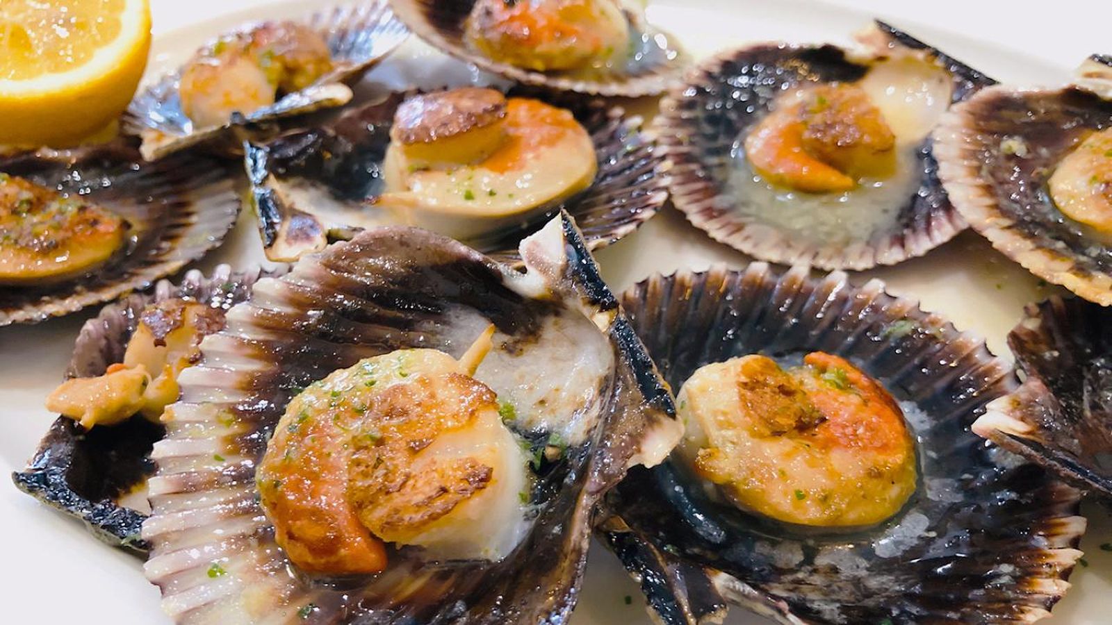 Vieiras plancha
