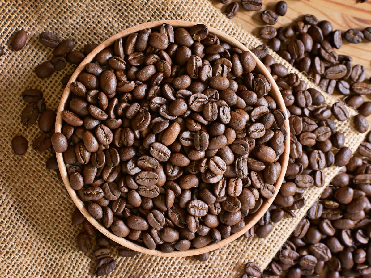 El grano de café, pequeño en tamaño pero enorme en aromas y matices.