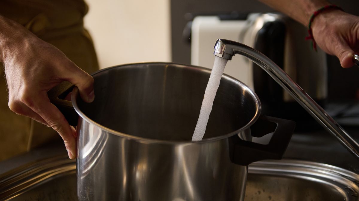 En la cocción de verduras, el pH es determinante para mantener el color.