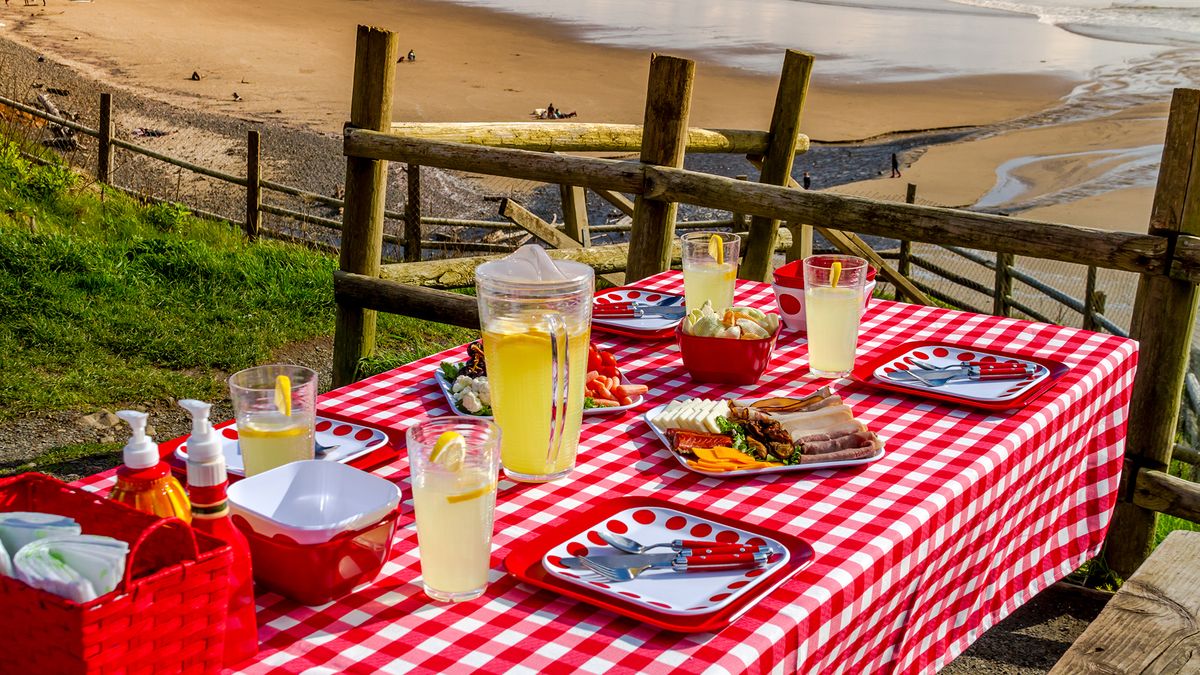 mesa picnic exterior campestre