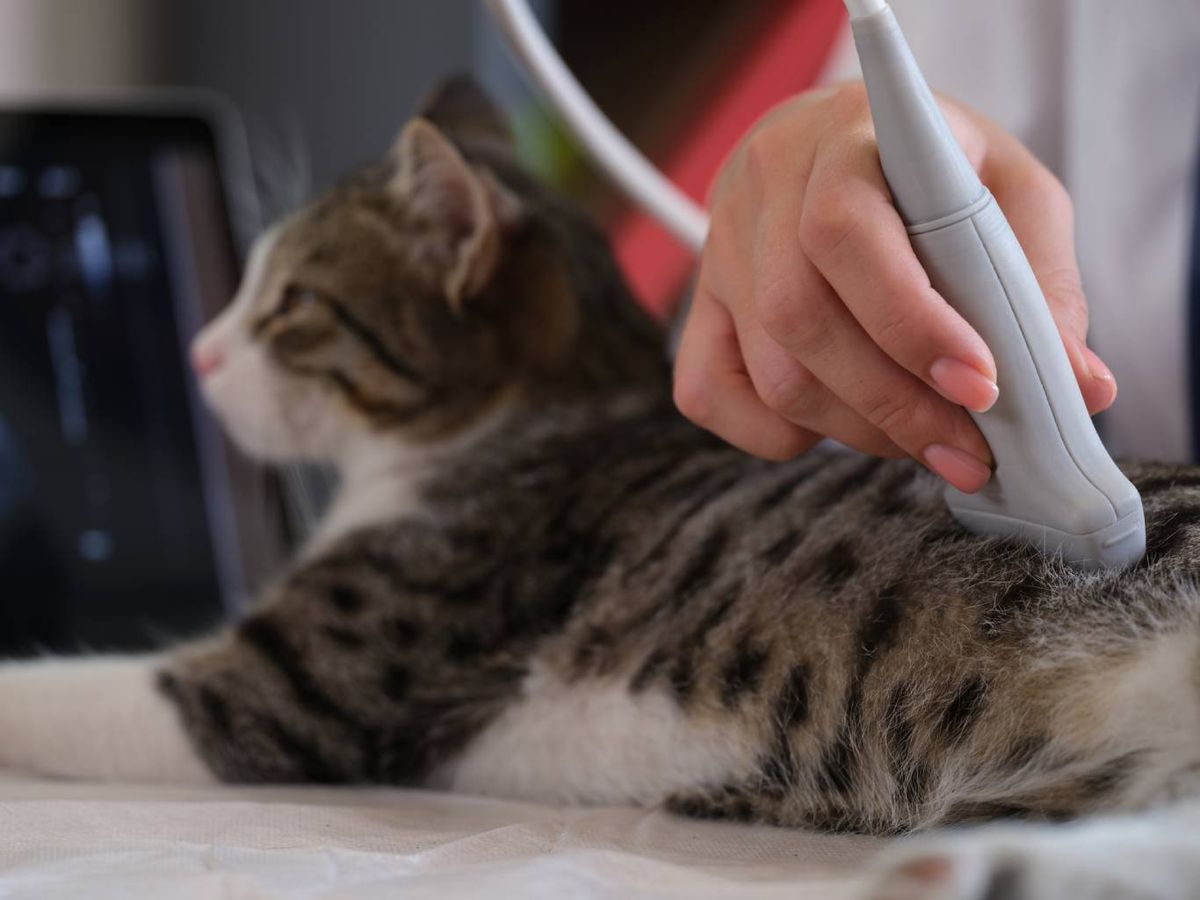 En la actualidad son muchas las clínicas que publican sus precios en la web o redes sociales.