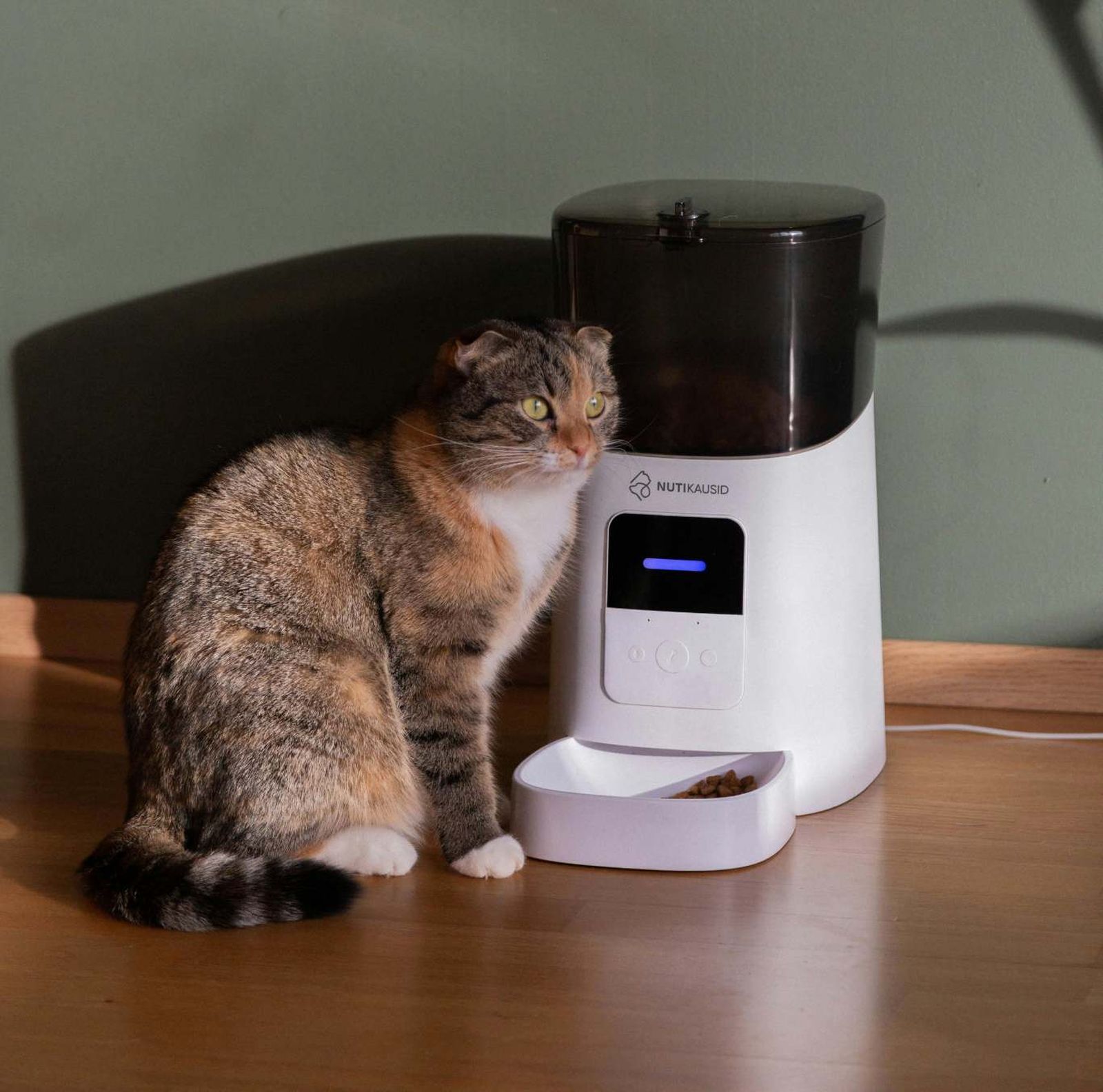 Gatos comiendo de su dispensador de comida.