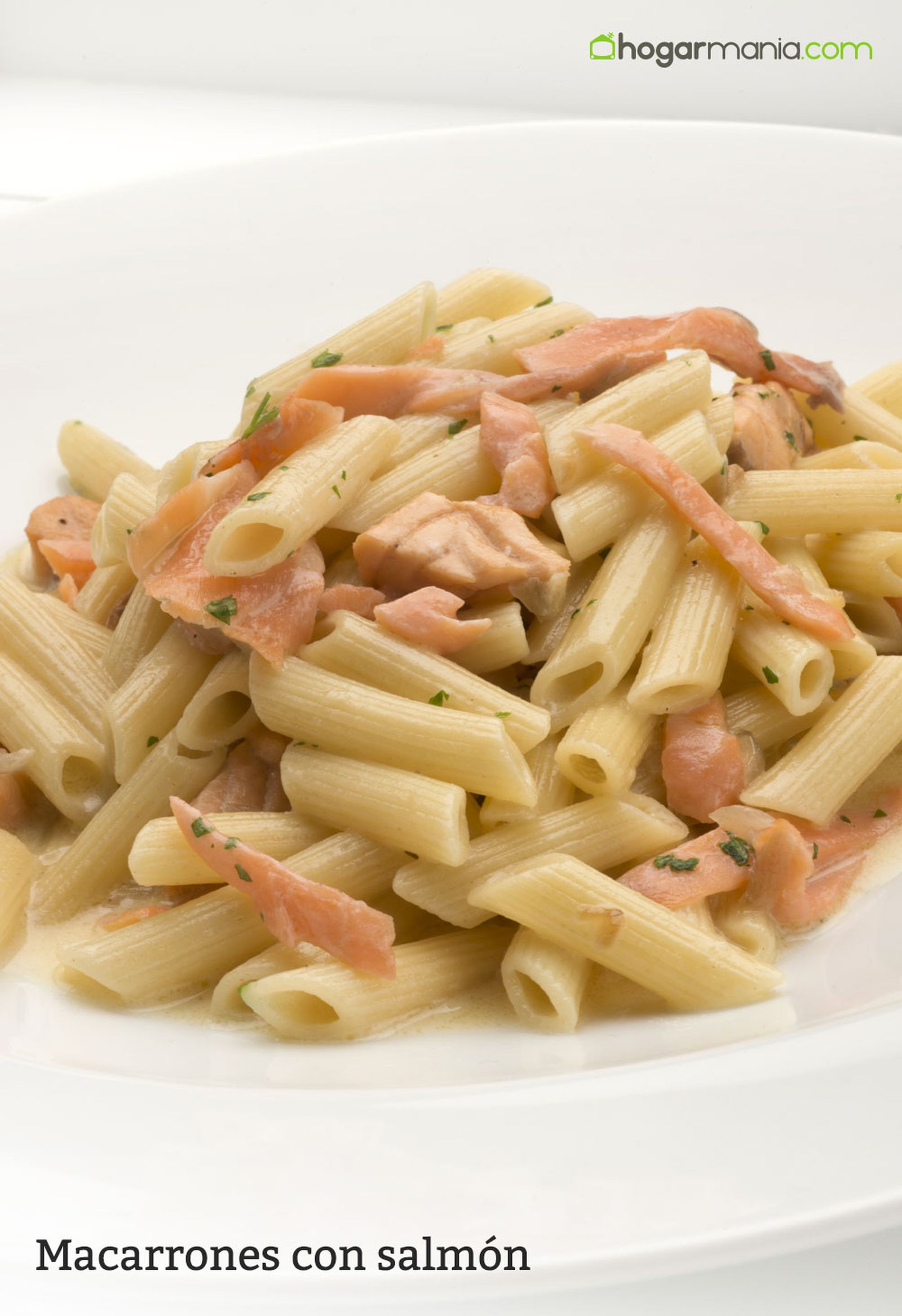 6056 1 Macarrones con salmon vertical xl 6056 1 Macarrones con salmon vertical xl