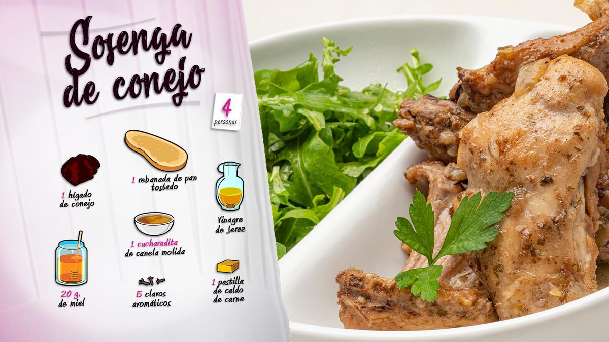 karl6653 sosenga conejo ing2