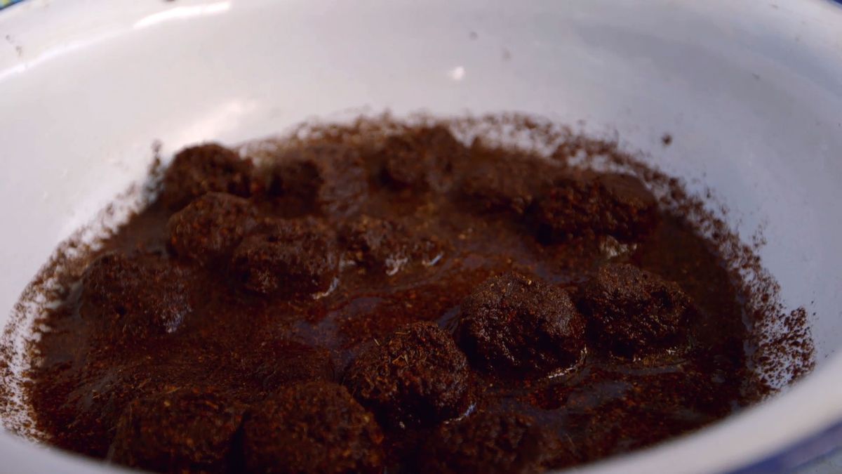 brico 0899 como hacer semillero hortalizas paso 2