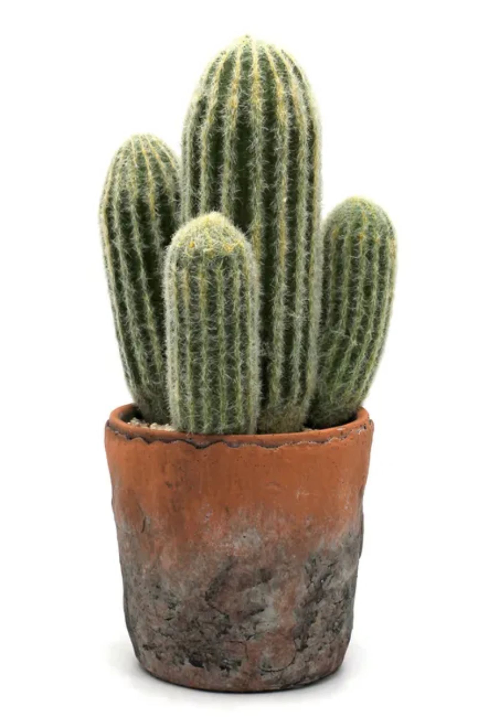 Cactus abuelo o cabeza de viejo artificial de Leroy Merlin.