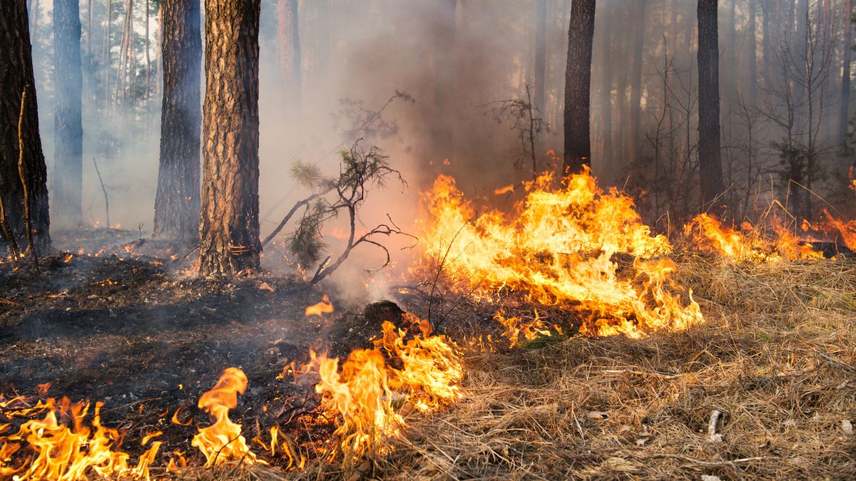 La falta de lluvia afecta a la proliferación de los incendios