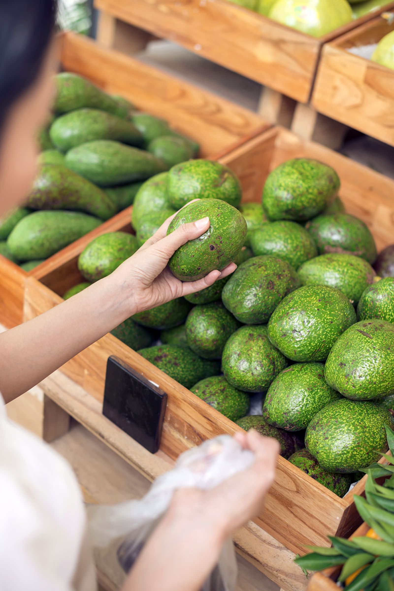 aguacate comprar aguacate comprar