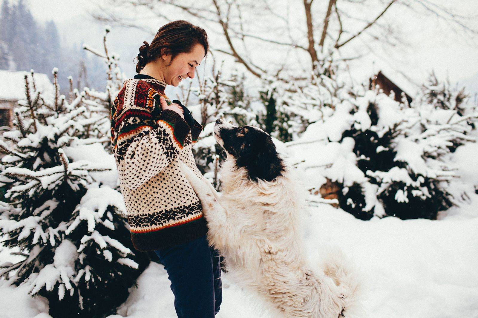 Las vacaciones de Navidad son un buen momento para pasar más tiempo juntos. Las vacaciones de Navidad son un buen momento para pasar más tiempo juntos.
