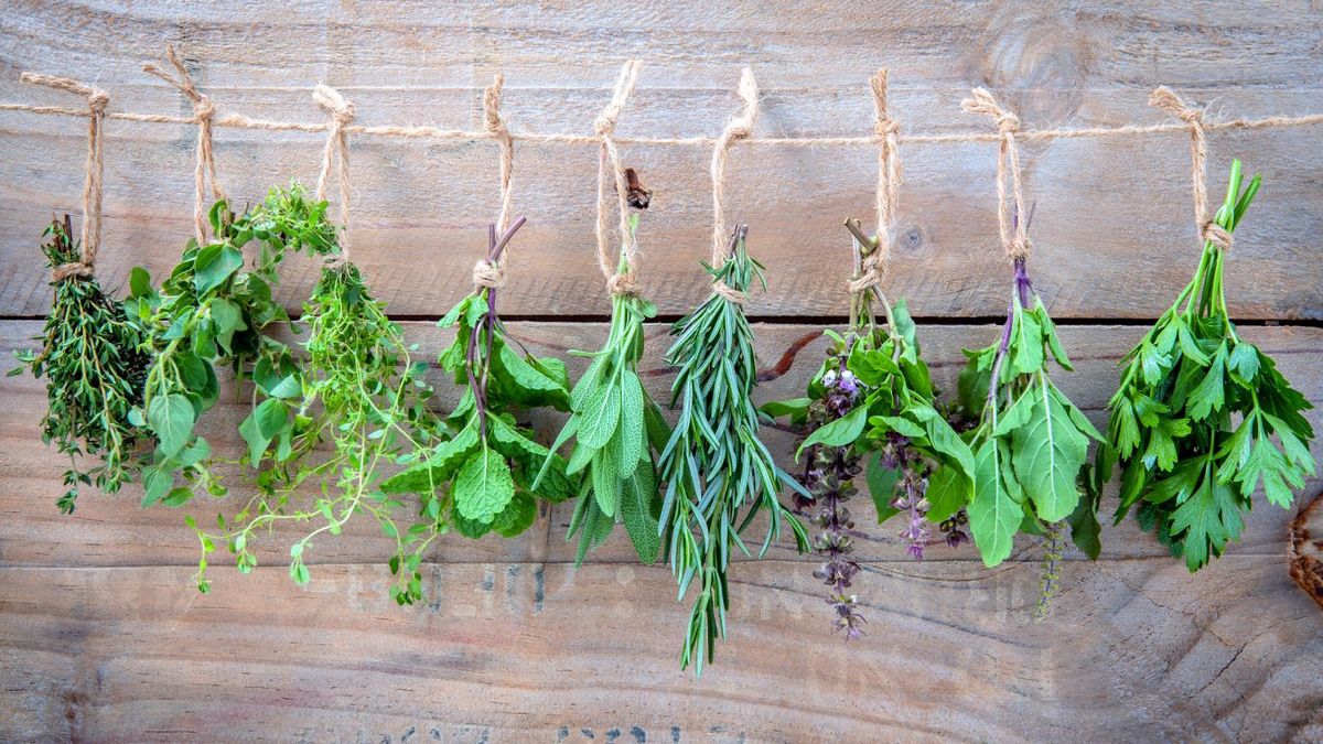 Cómo secar hierbas aromáticas