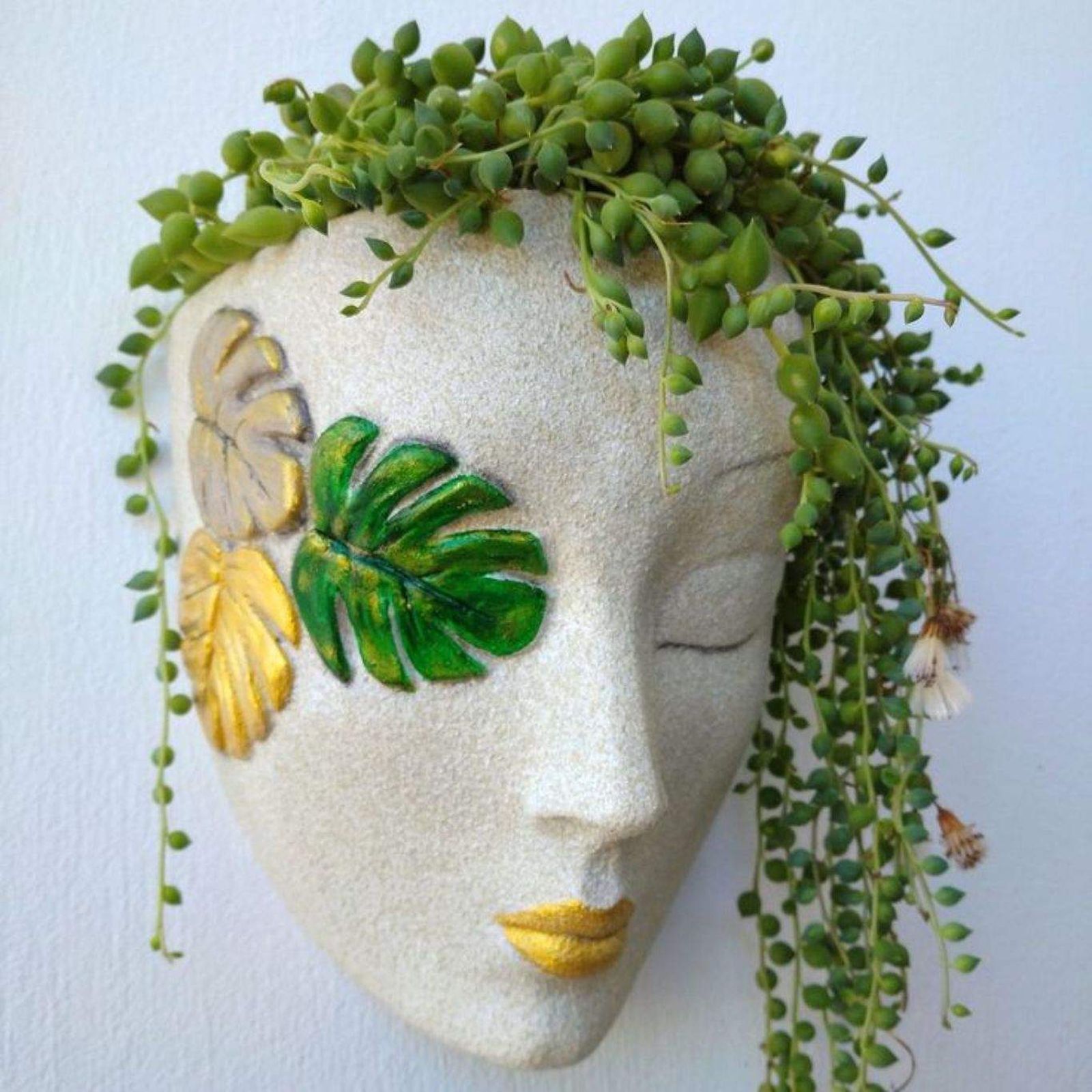 Senecio rowleyanus en maceta / Foto Pinterest de @GloriaCain3 Senecio rowleyanus en maceta / Foto Pinterest de @GloriaCain3