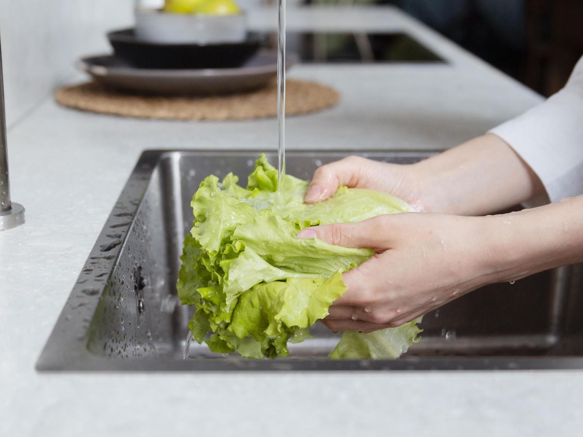 Lavar bien la lechuga es el primer paso para una ensalada perfecta.
