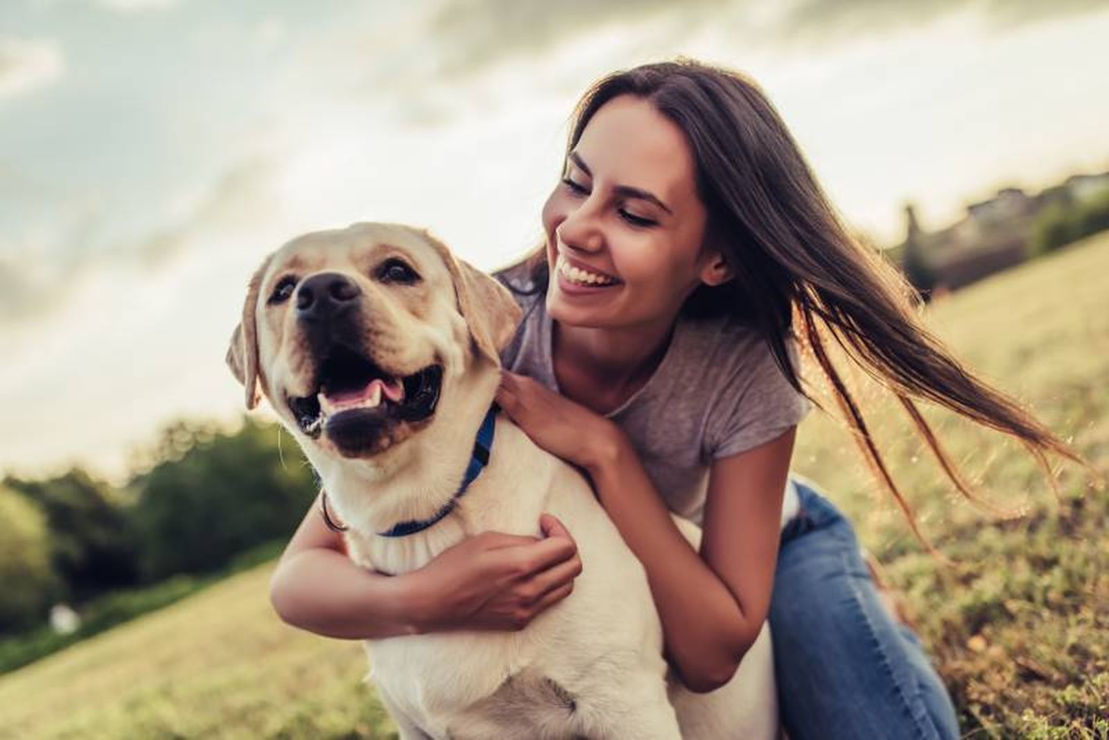 Antes de adoptar un perro es preciso conocer los cuidados que requiere. Antes de adoptar un perro es preciso conocer los cuidados que requiere.
