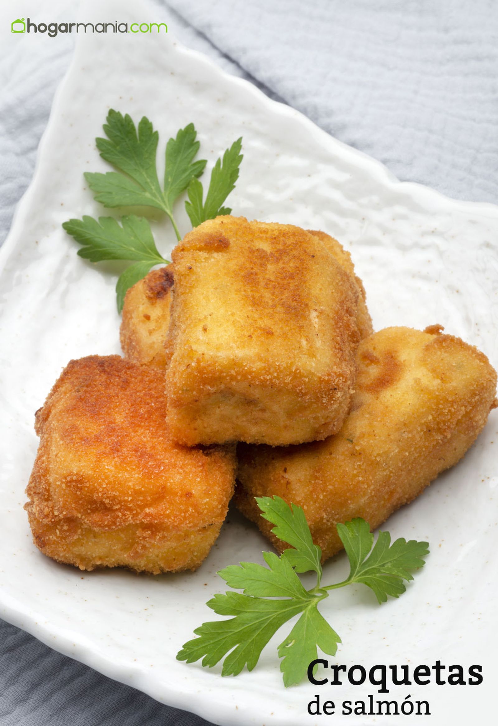 6206 1 Croquetas de salmon vertical xl 6206 1 Croquetas de salmon vertical xl