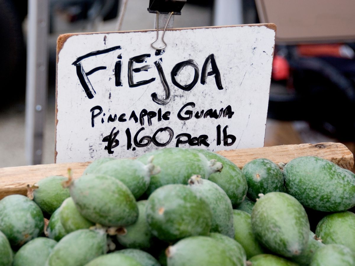 En países como Nueva Zelanda o Colombia, la feijoa es tan popular que se vende en mercados locales con el nombre de 'pineapple guava'.