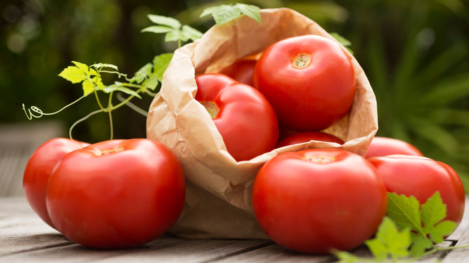 7 alimentos que no deberias guardar en la nevera tomates 7 alimentos que no deberias guardar en la nevera tomates