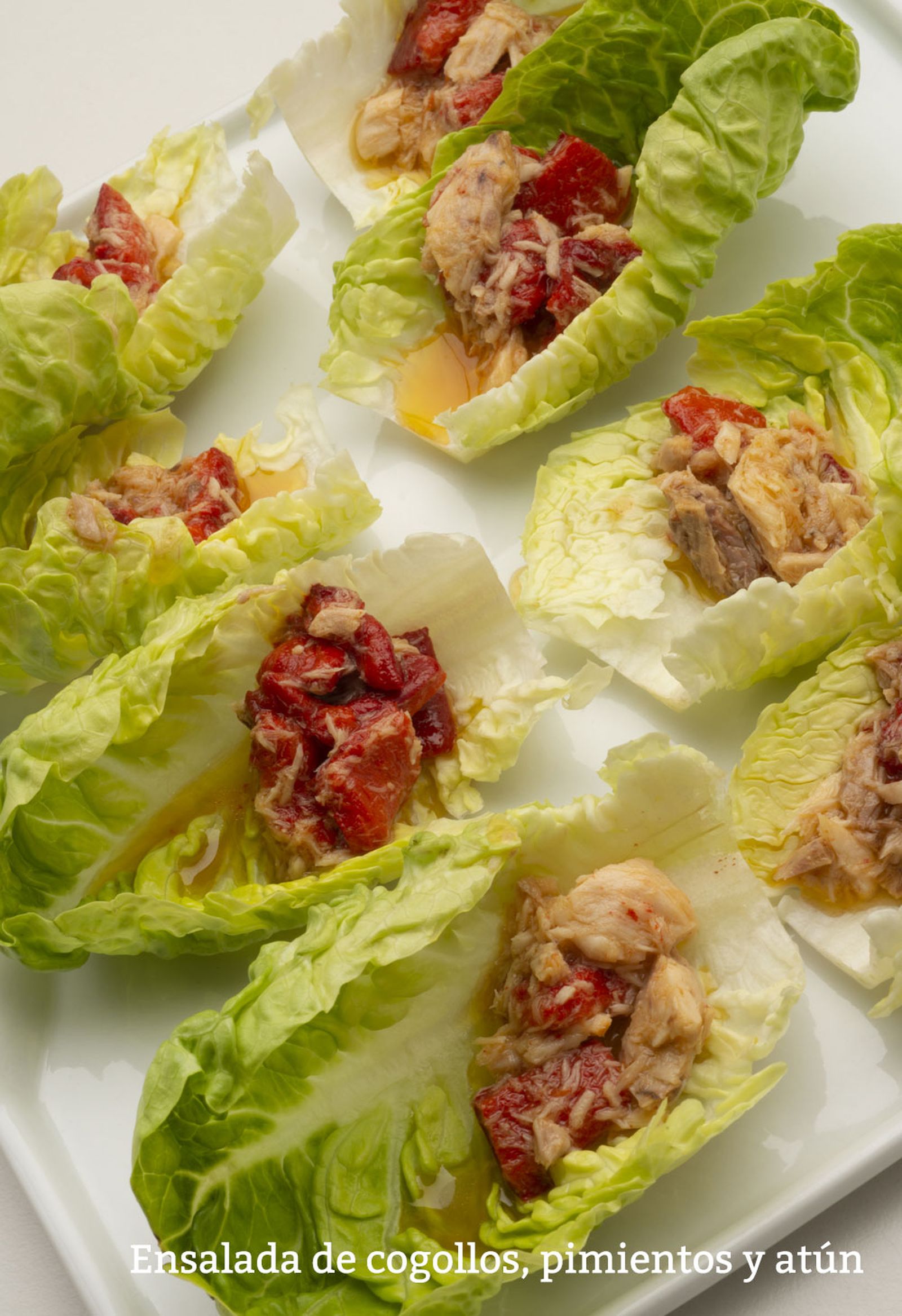 ensalada cogollos vertical ensalada cogollos vertical