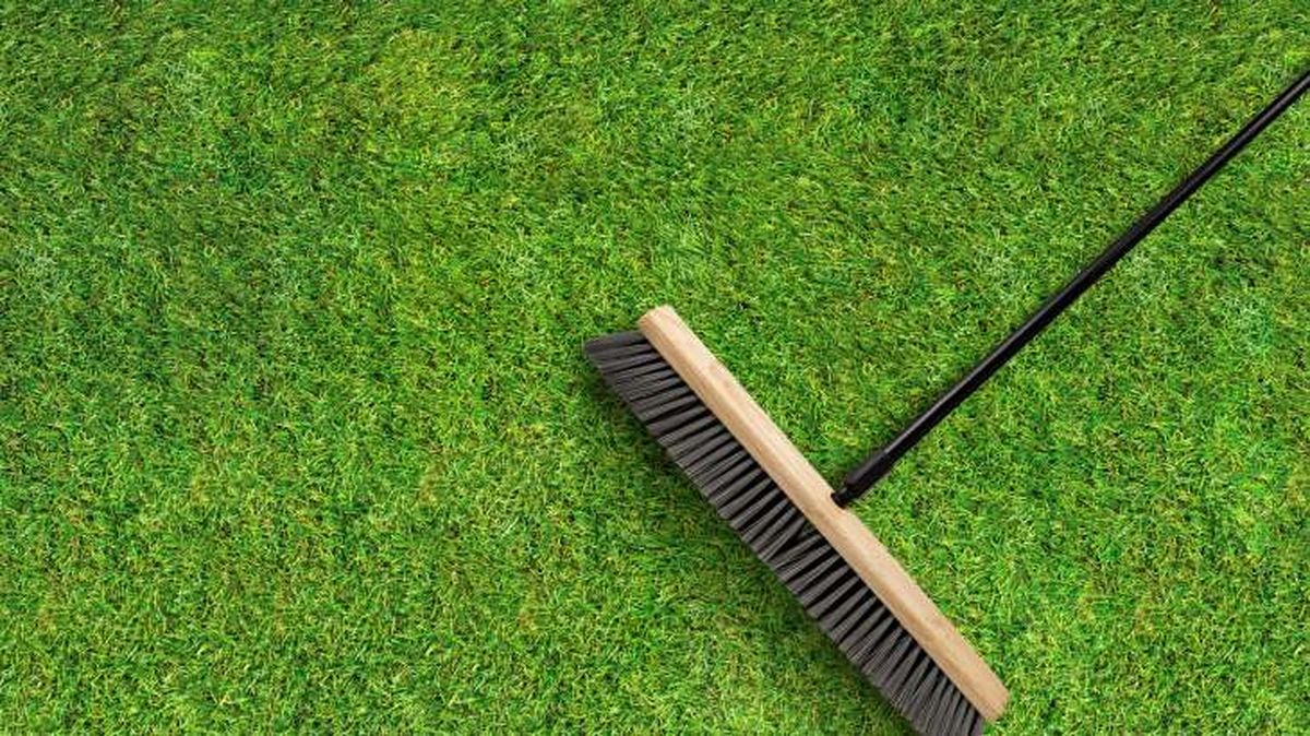 escobas para cesped 3