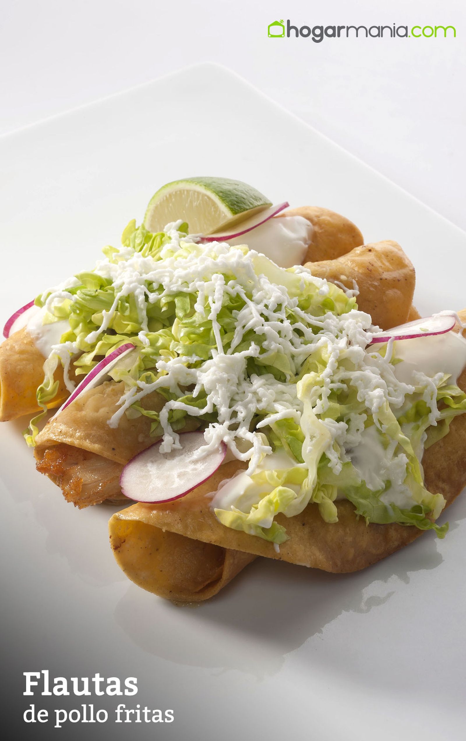 CABI0002 Enrique Flautas de pollo fritas vertical xl CABI0002 Enrique Flautas de pollo fritas vertical xl