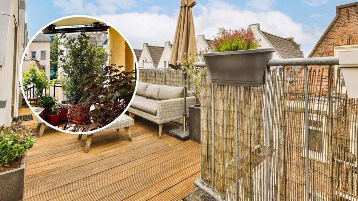 Para conseguir privacidad en una terraza existen distintas formas de hacerlo.