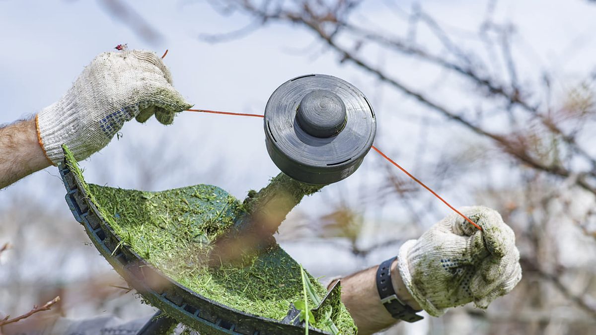 poner hilo desbrozadora xl 1